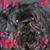 Bev Doyle's profile image