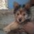 Ida Ruth Pickens-Nix's profile image
