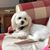 Michelle J Mackay's profile image