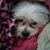 Alexis Krattenmaker's profile image