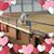 Kiera Walker's profile image