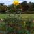 Karen Apgar Scholz's profile image