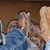 Brent Bartz's profile image