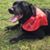 Susan Valenti Nelson's profile image