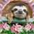 Debbie Bradley-Panetti's profile image