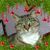 Holly LaFrance's profile image