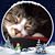 Jennifer Senyk's profile image