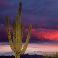 Gwen Henderson's profile image