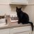 Barb Zook's profile image