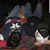 James Withington's profile image