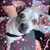 Charytee Windham's profile image