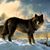 Mary Spoto Altman's profile image