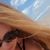 Angel Erickson's profile image