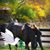 H Melendy Britt's profile image