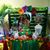 Digna Aponte's profile image
