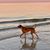 Denise Esposito's profile image