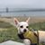 Melyna Angell Huff's profile image