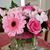 Helen Brush's profile image
