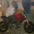 Mineiro Sales's profile image