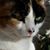Sue Weitz's profile image