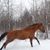 Katie Royer's profile image