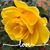Peggy Deterding Bunting's profile image