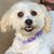Kelly Hershey's profile image