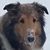 John Othos's profile image