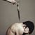 Hossein Salim Pour's profile image