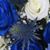 Mary Habiger's profile image