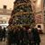 Sheila Salwa Carman's profile image