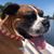 Jo Ellen Madden's profile image
