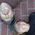 Stephanie Heilman's profile image