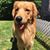Gail Cline Schulman's profile image