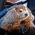 Terri DeMaeyer's profile image