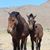 Lori Lee Ugolik's profile image