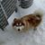 Mischa Nelson's profile image