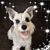 Kari Schlafge Melendez's profile image