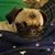 Julie Ann Brunner's profile image