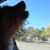 Paulette Cameron's profile image