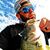 Eric L Gomez's profile image