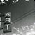Art Collins's profile image