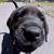 Robert Brown's profile image