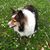 Serena Winchell's profile image