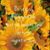 Janet Stites's profile image