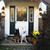 Madeline Aneli Werner's profile image