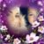 Dottie Gilbert-Pace's profile image