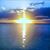 Cindy Jarvis-Lemons's profile image