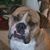 Todd Sheflin's profile image