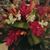 Joyce Schaadt Clark's profile image